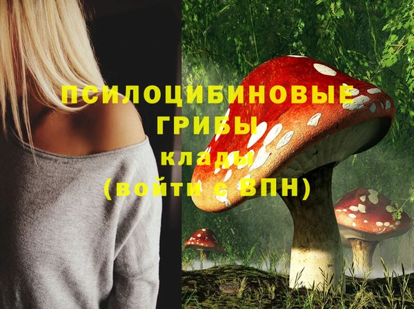 молекула духа Майский