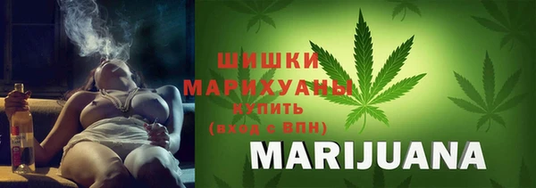 молекула духа Майский