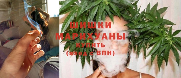 молекула духа Майский